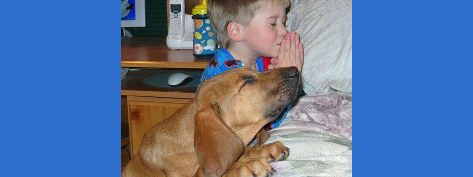 Flapping With Friends