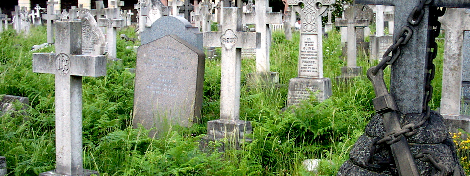 Another Cemetery Walk
