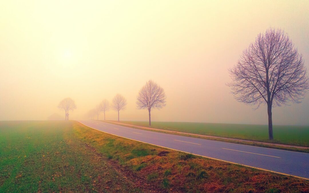photo of road in the middle of foggy field