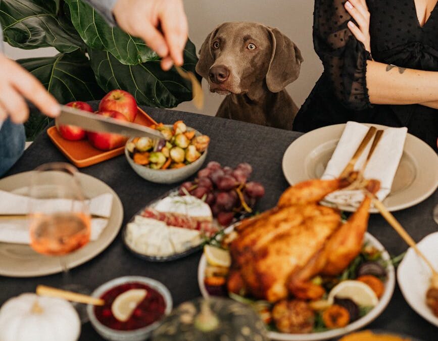 Snapshots of Gratitude