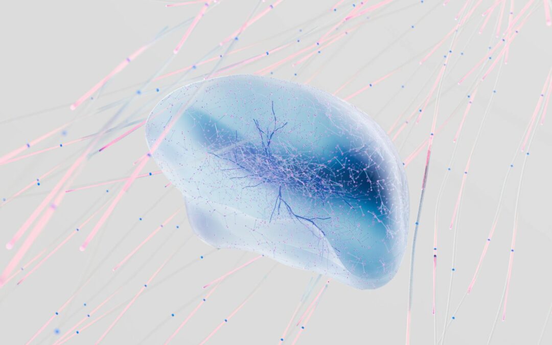 an artist s illustration of artificial intelligence ai this image represents how machine learning is inspired by neuroscience and the human brain it was created by novoto studio as par