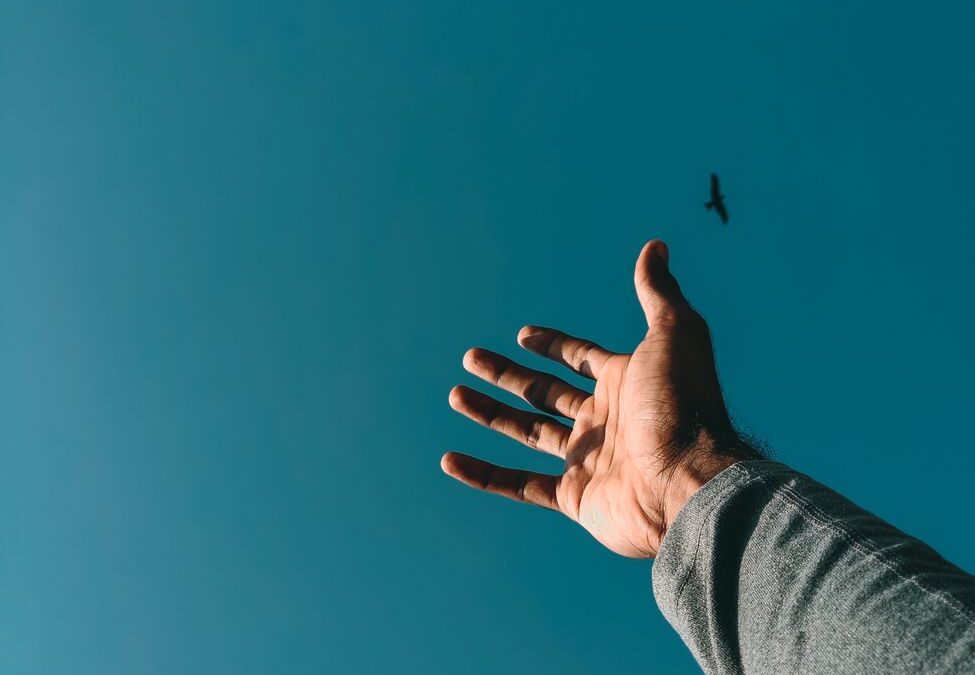 Mastering the Art of Letting Things Go